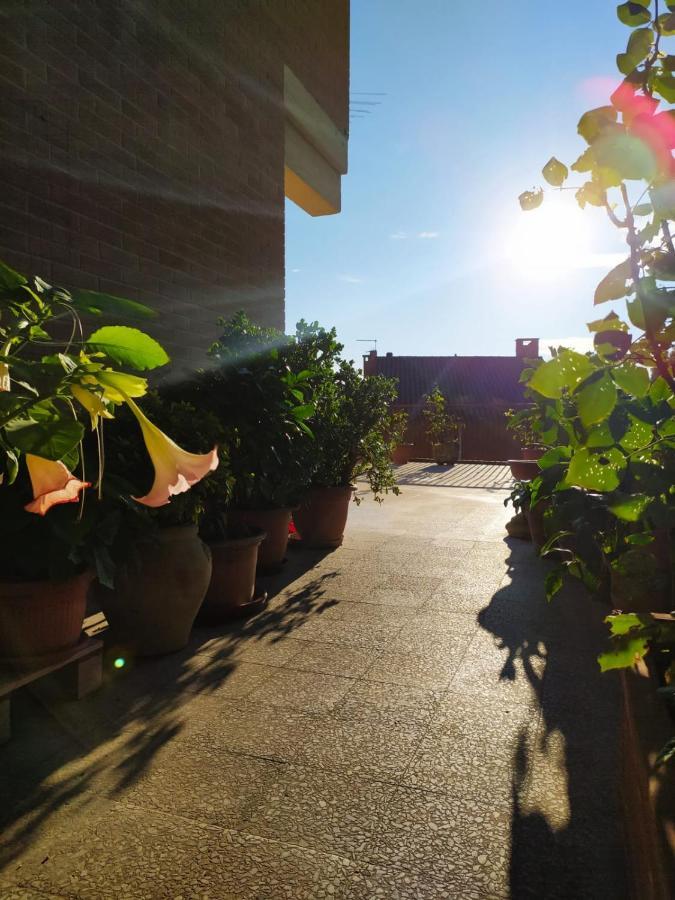 Residenza Damiano Assis Exterior foto